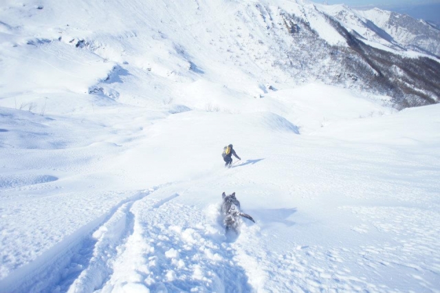  Skis et pattes 